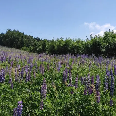 Na Przeleczy ファームステイ *